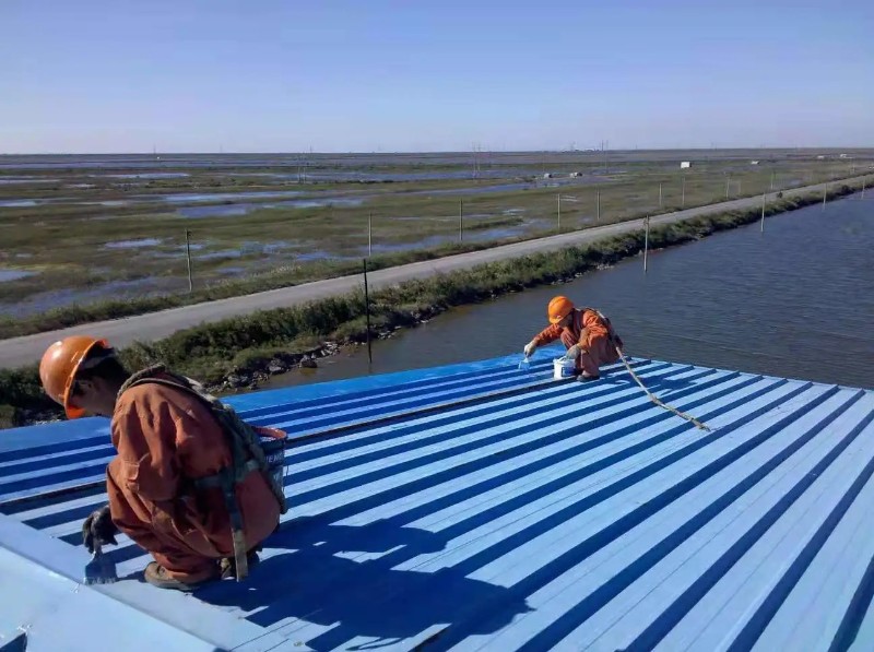 芗城钢结构屋面漏水原因